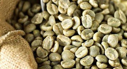 cafe-verde-460x250