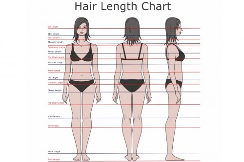 hair-length-chart