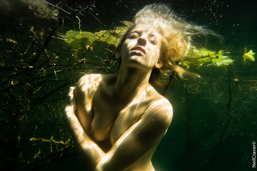 oceanyx-serum-extractos-marinos