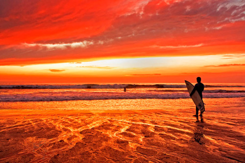 surf-212-carolina-herrera