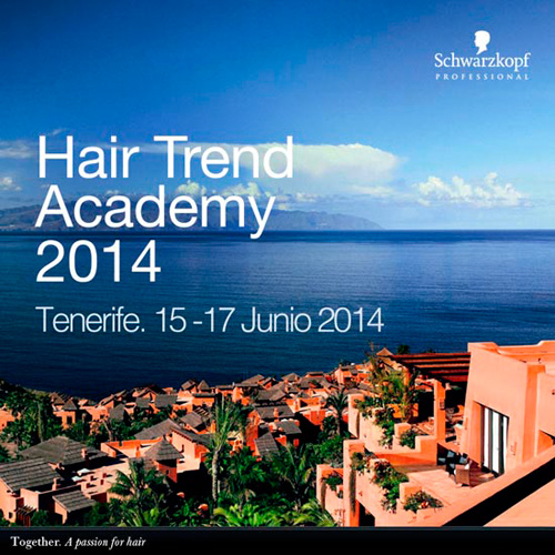 hair-trend-academy-2014