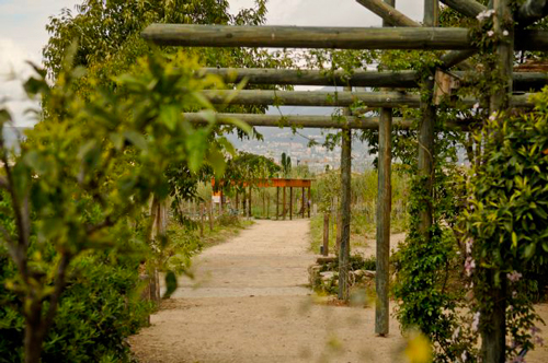 jardines-museo-internacional-perfumeria-grasse-cenadores-loccitane