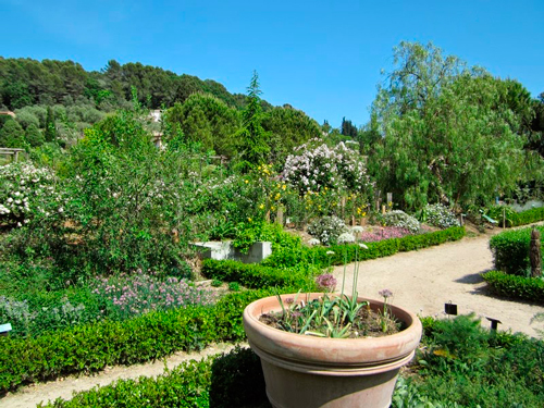 jardines-museo-internacional-perfumeria-grasse