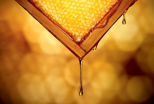 abeille royale guerlain