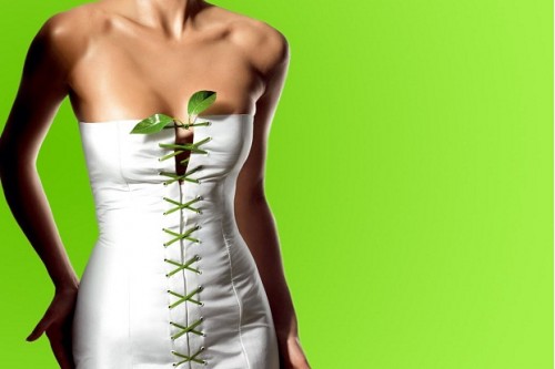 plantas-para-adelgazar