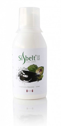 sibelt_1