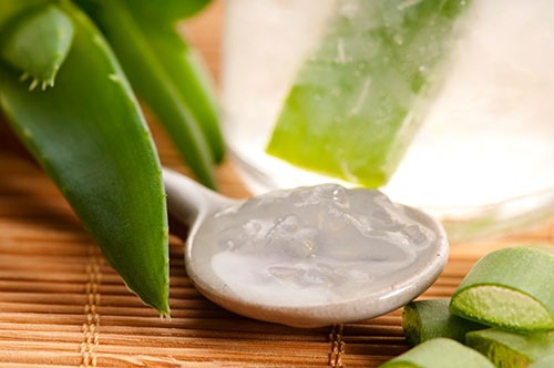 Aloe-Vera-el-mejor-after-sun-natural-2