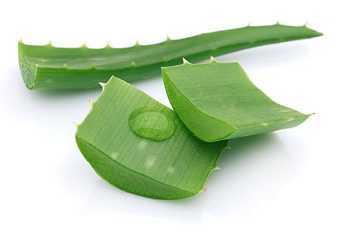 aloe-vera-en-una-botella-belleza-natural