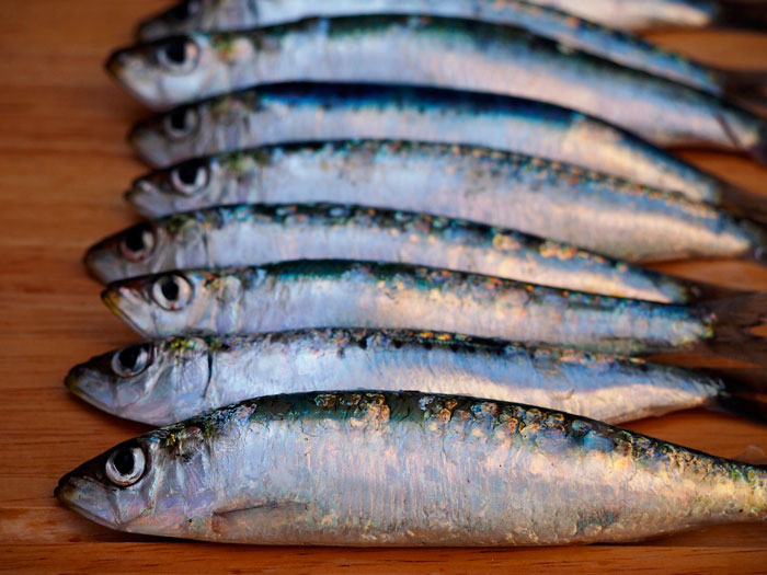 pescado-azul-salud-cardiovascular-semana-del-corazon