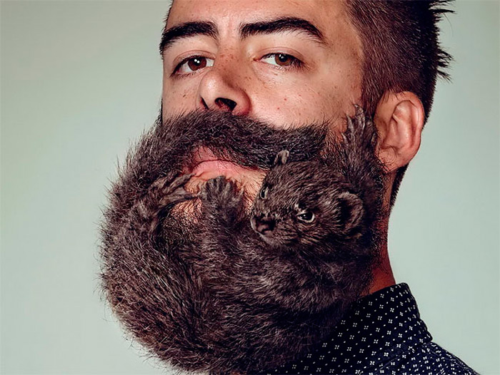 trasplantes-injertos-barba-hipster