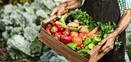 Slow food, comida KM0