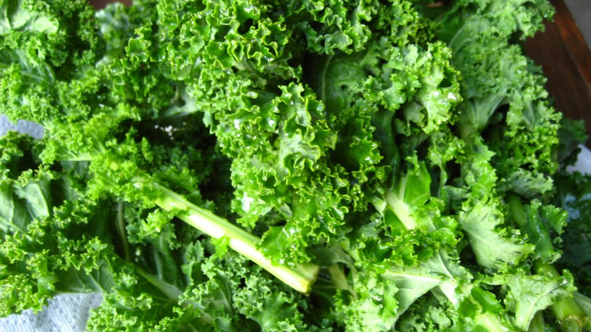 Berza o kale, la hortaliza que está de moda | BellezaPura Berza o kale, la hortaliza que está de moda | BellezaPura