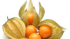fruta uchuva physalis y alquequenje día del frutero