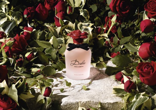 Dolce Rosa Excelsa_dolce gabanna