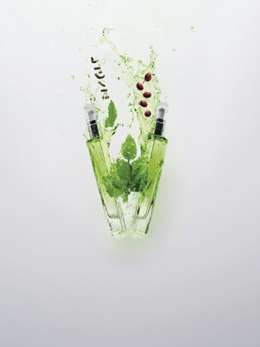 Superalimento-energie-de-vie