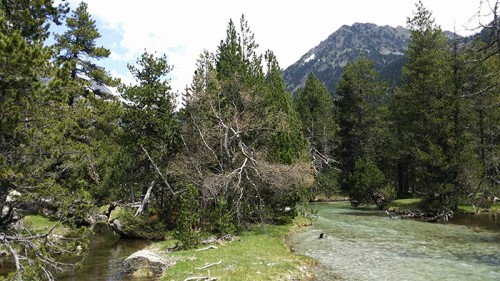 aigues-tortes-boi-inyour-skin