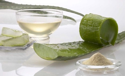 loe-vera-para-beber-10-beneficios-1 aloe-vera-para-beber-10-beneficios-1