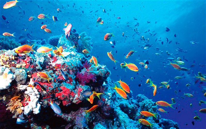 microplasticos-cosmetica-contaminacion-oceanos-greenpeace