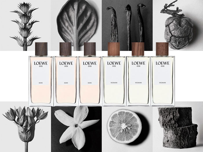 loewe-001-woman-man-karl-blossfeldt