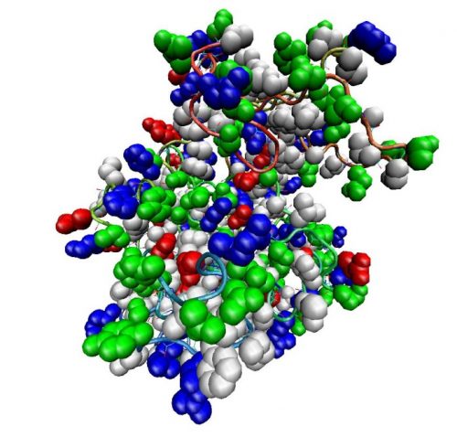 melanoma-braf