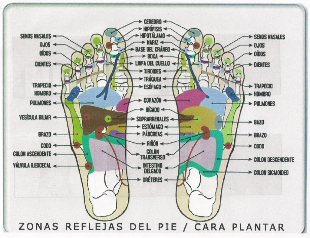 reflexología podal