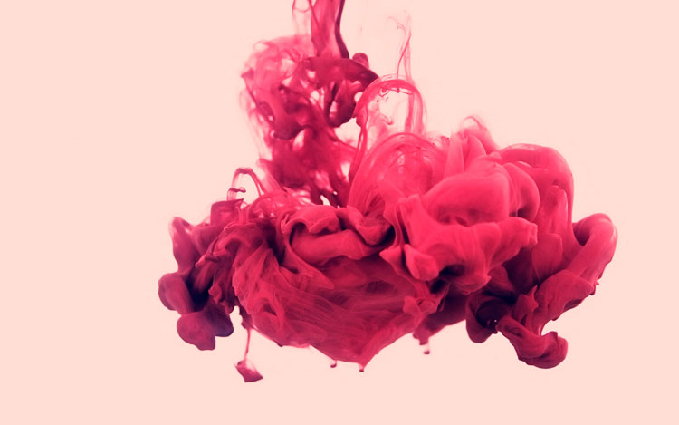 Perfumes Rosas 2017