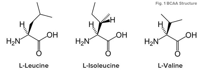 suplementos-deportistas-4 suplementos-deportistas-4
