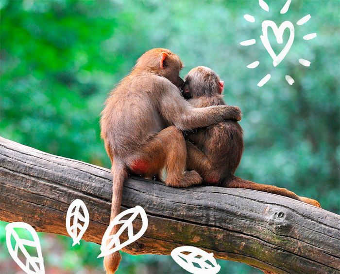 The Body Shop Natura