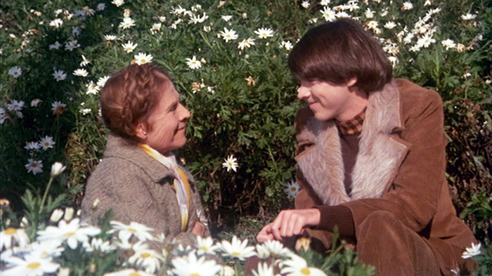 Harold Y Maude 1