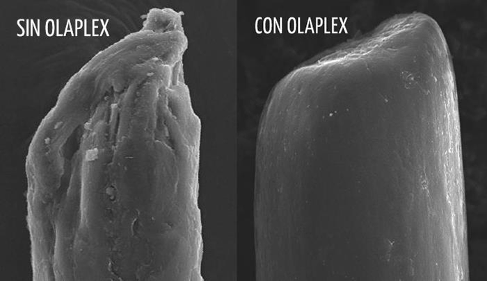 Olaplex Olaplex
