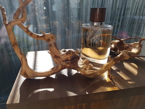 Aqua Digio Absolu Giorgio Armani