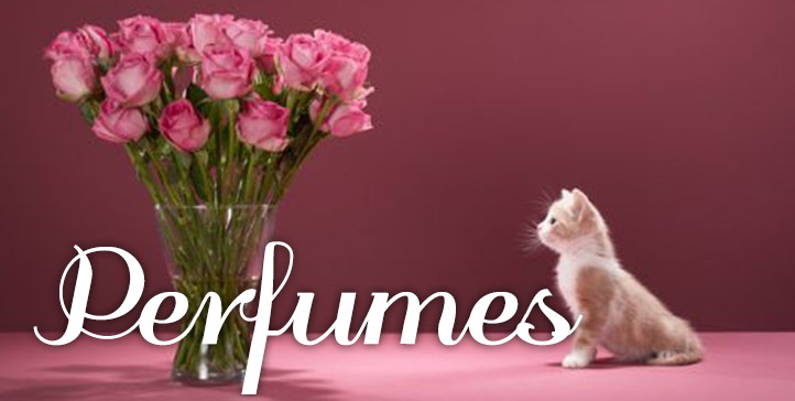 ”Perfumes"