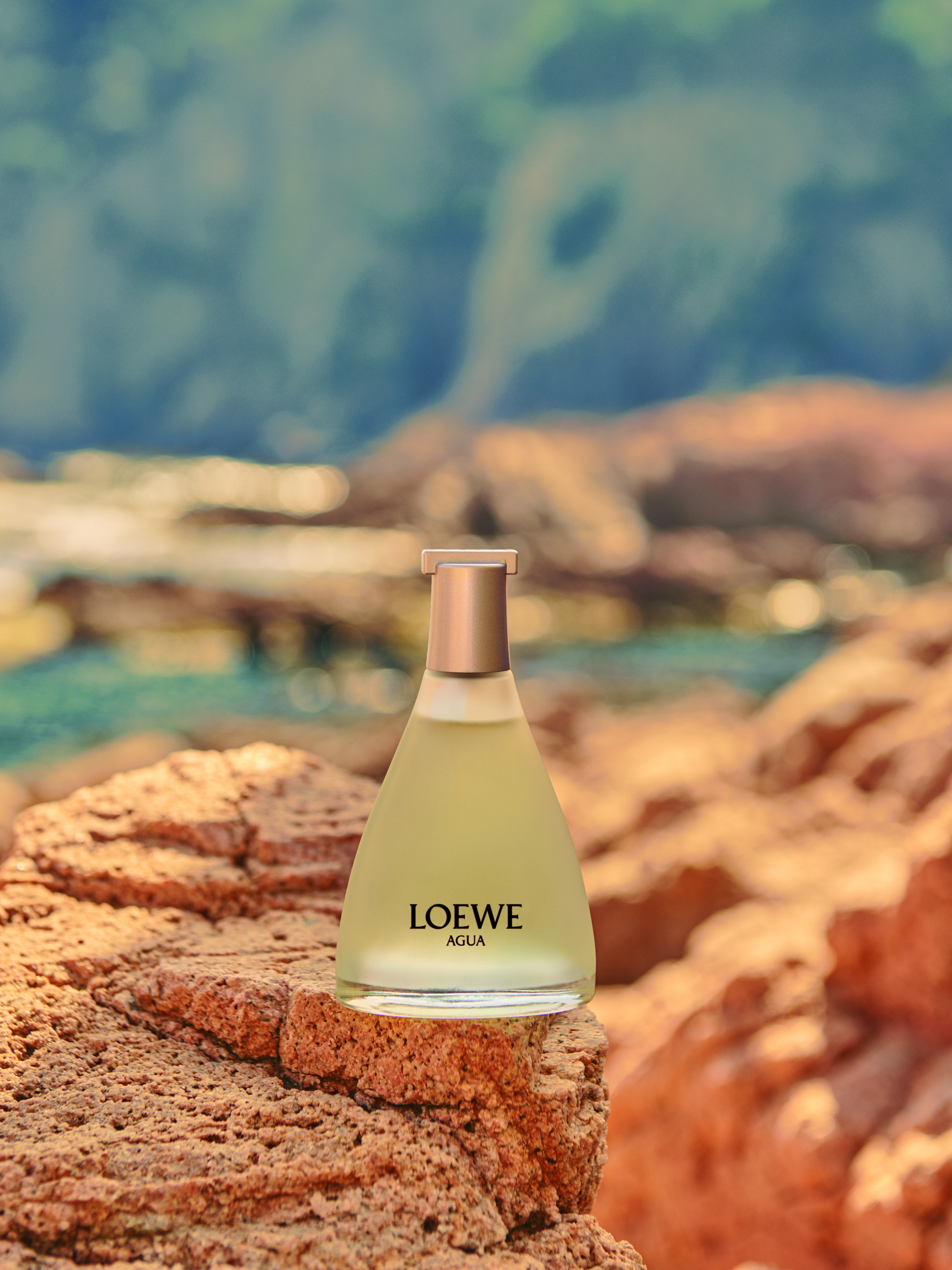 AGUA DE LOEWE
