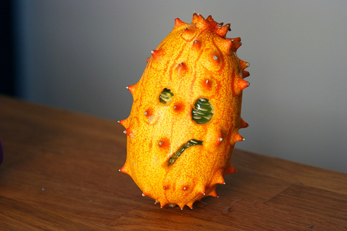 Photo by kellinahandbasket on TrendHype / CC BY