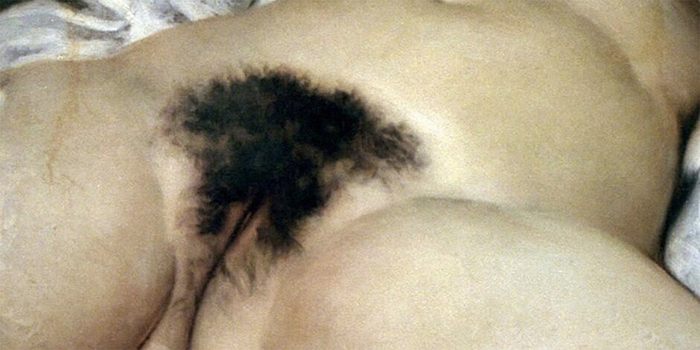 El origen del mundo, de Gustave Courbet vagina