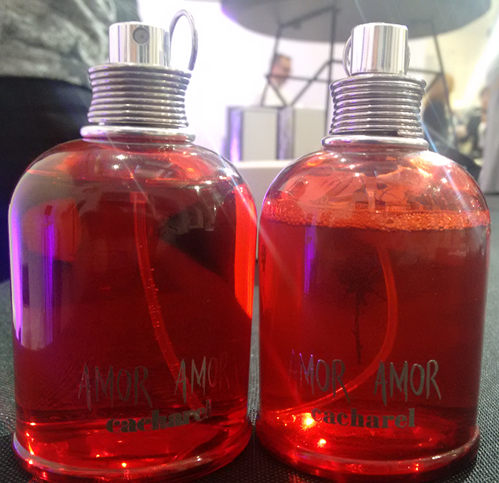 IMG 20181211 124430348