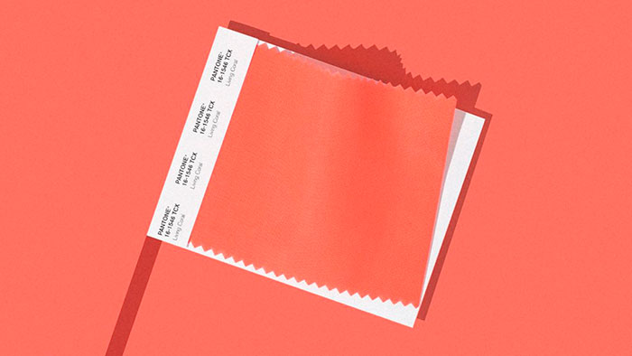 Living Coral Pantone Color 2019