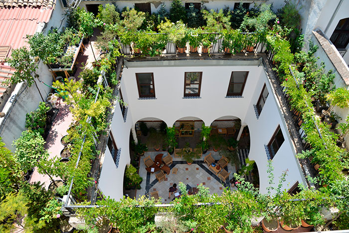 Museo Patio De Los Perfumes De Granada Vista Patio