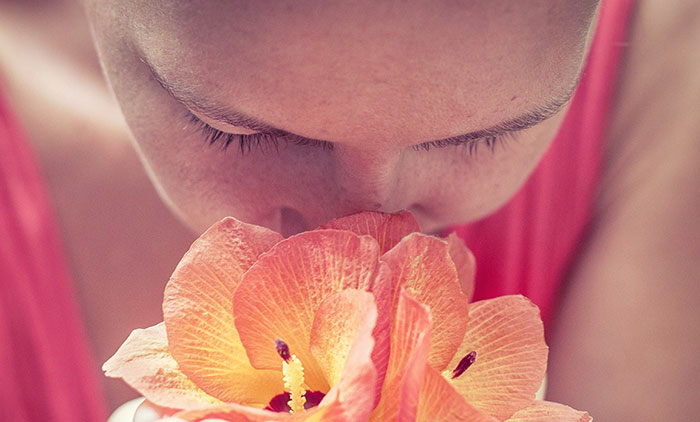 Mejores Perfumes Belleza Pura