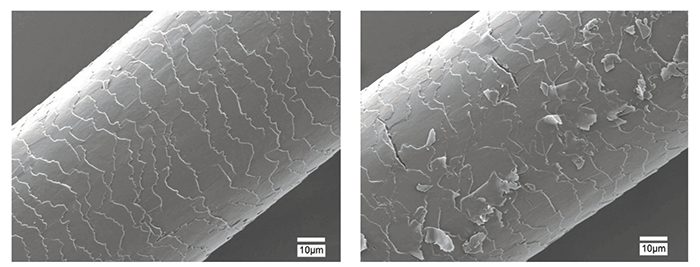 Figure7