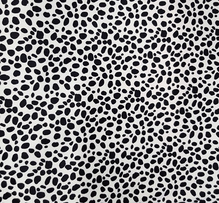 Terciopdalmata