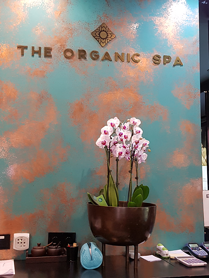 Logo The Organic Spa Web