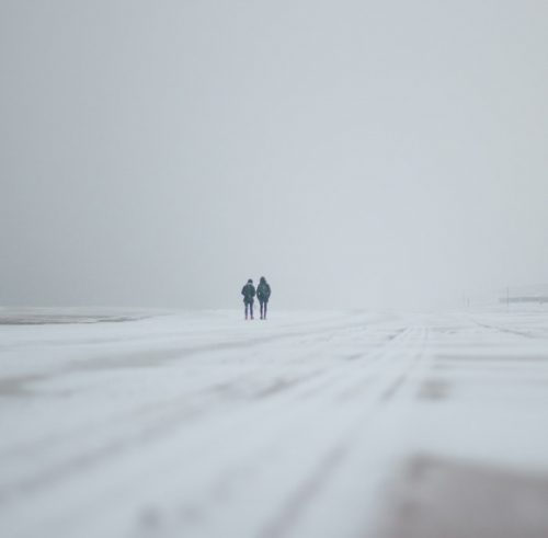 paseos con raquetas de nieve