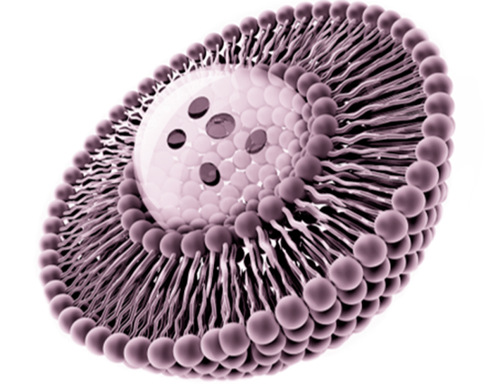 Liposomas