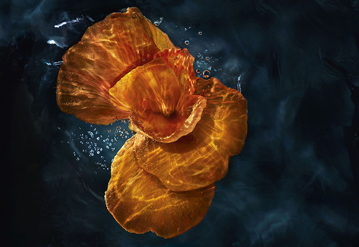 Biotherm Algas Blue Therapy Amber Algae