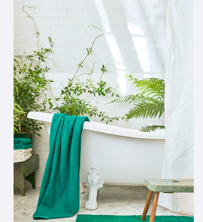 Crea Tu Spa En Casa
