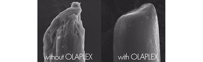 olaplex-2