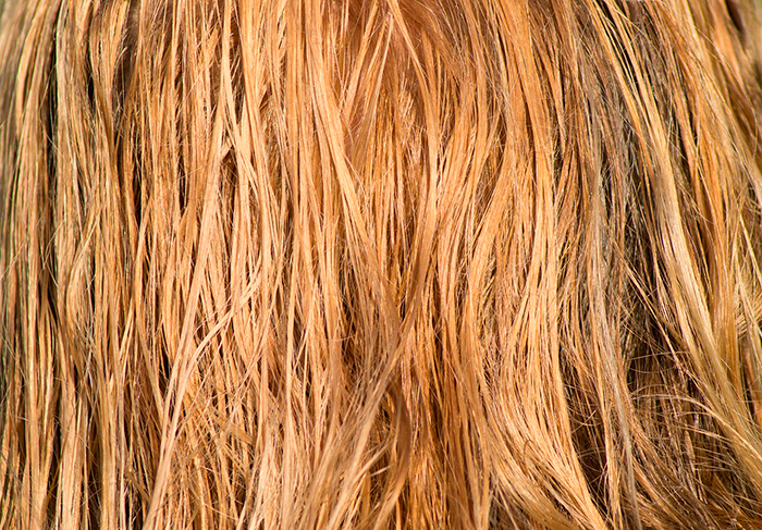 Pelo,png