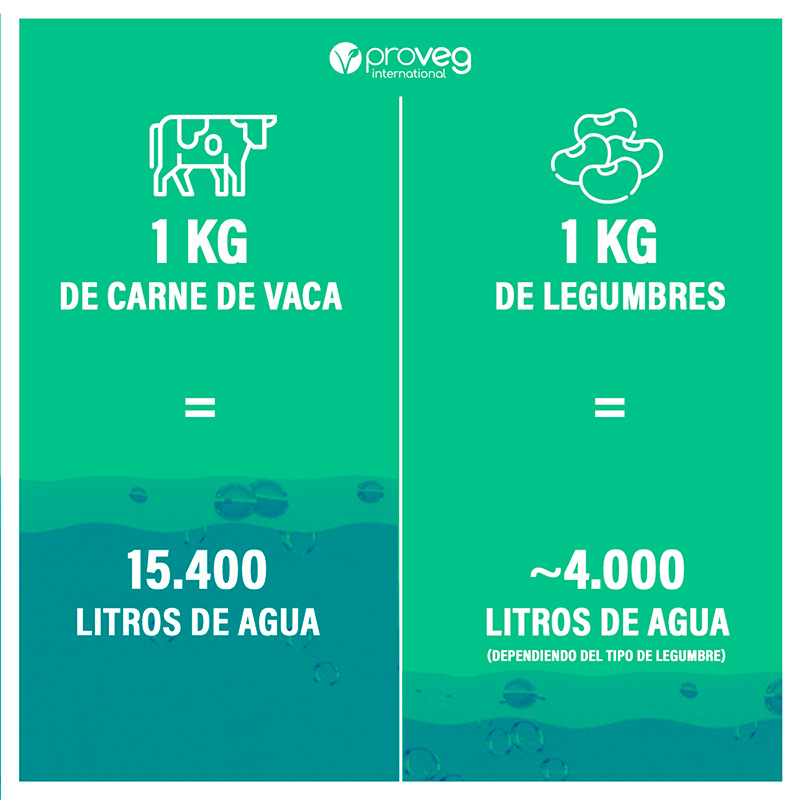 ProVeg Agua Para Carne