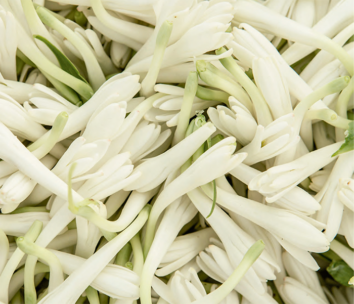 DOSSIER MY WAY Mid Resolution 11